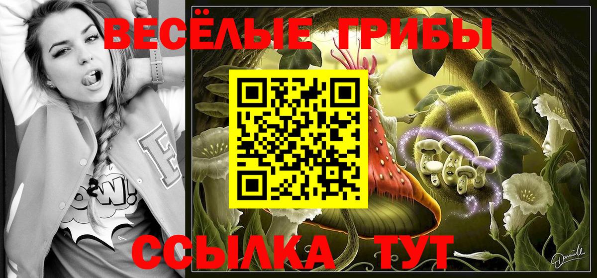 Галлюциногенные грибы Magic Shrooms  Галлюциногенные грибы MAGIC MUSHROOMS  магазин продажи   Асино  Вход с VPN 